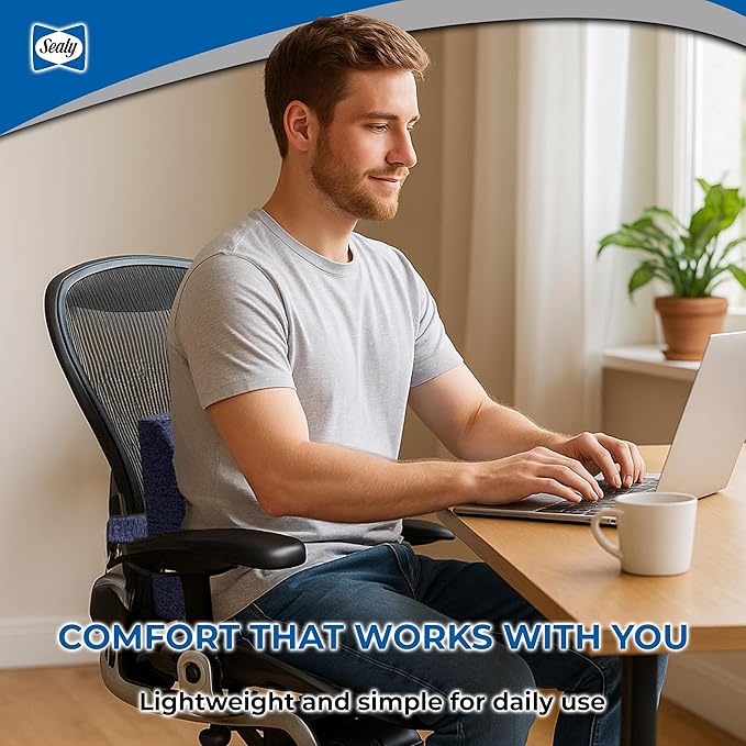 Sealy Memory Foam Lumbar Support Pillow – Ergonomic Back Cushion for Office Chairs and Car Seats, Premium Lower Back Pain Relief and Multi-Purpose Comfort (Blue)