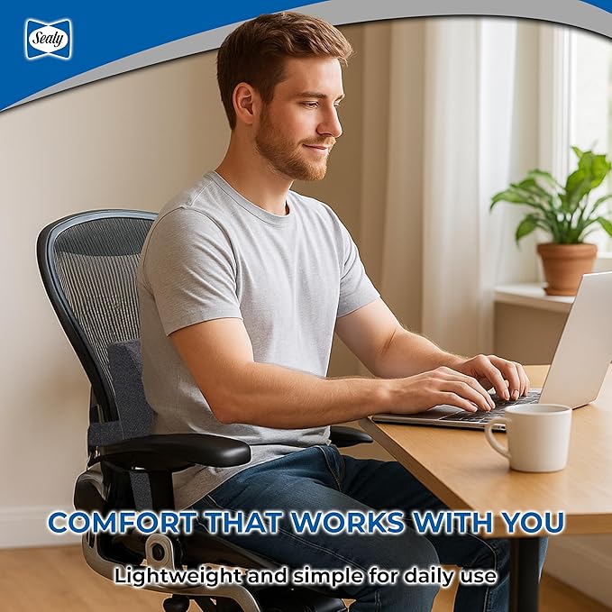 Sealy Memory Foam Lumbar Support Pillow – Ergonomic Back Cushion for Office Chairs and Car Seats, Premium Lower Back Pain Relief and Multi-Purpose Comfort (Gray)