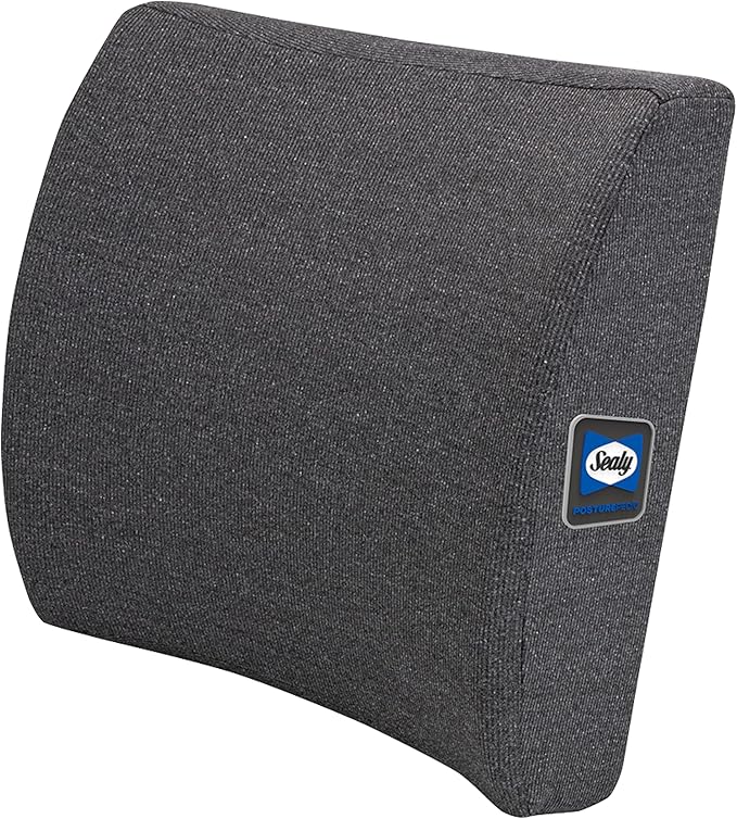 Sealy Memory Foam Lumbar Support Pillow – Ergonomic Back Cushion for Office Chairs and Car Seats, Premium Lower Back Pain Relief and Multi-Purpose Comfort (Gray)