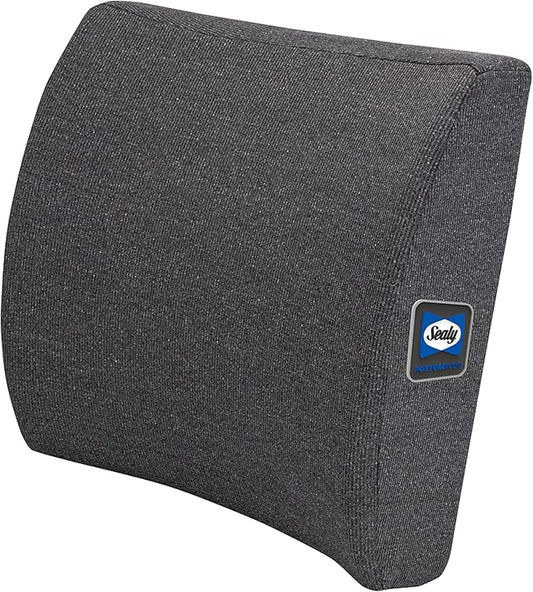 Sealy Memory Foam Lumbar Support Pillow – Ergonomic Back Cushion for Office Chairs and Car Seats, Premium Lower Back Pain Relief and Multi-Purpose Comfort (Gray)