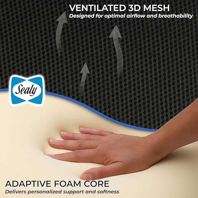 Sealy Memory Foam Car 2-Pack Seat Cushions – Ergonomic Cushions for Tailbone Pain Relief, Ideal for Office Chairs, Car Seats and Gaming Chairs, Premium Cushions Offering Superior Comfort and Support