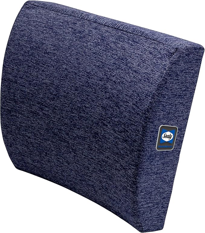 Sealy Memory Foam Lumbar Support Pillow – Ergonomic Back Cushion for Office Chairs and Car Seats, Premium Lower Back Pain Relief and Multi-Purpose Comfort (Blue)