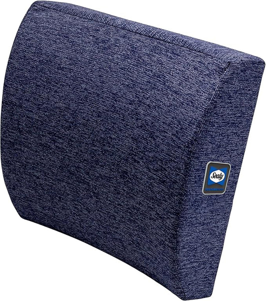 Sealy Memory Foam Lumbar Support Pillow – Ergonomic Back Cushion for Office Chairs and Car Seats, Premium Lower Back Pain Relief and Multi-Purpose Comfort (Blue)