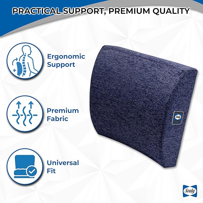 Sealy Memory Foam Lumbar Support Pillow – Ergonomic Back Cushion for Office Chairs and Car Seats, Premium Lower Back Pain Relief and Multi-Purpose Comfort (Blue)