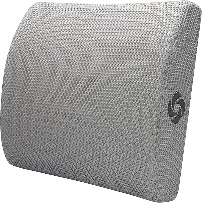 Samsonite Ergonomic Lumbar Pillow for Office Chair and Car Seat - Memory Foam Back Support Lumbar Pillow, Premium Cushion Chair Support for Lower Back Pain Relief and Versatile Use (Light Grey)