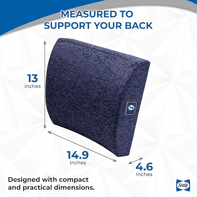 Sealy Memory Foam Lumbar Support Pillow – Ergonomic Back Cushion for Office Chairs and Car Seats, Premium Lower Back Pain Relief and Multi-Purpose Comfort (Blue)