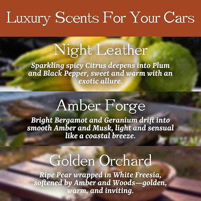 Car Air Freshener Wood 3 Pack — Refillable Solid Diffuser, North American Alder Scent, Leather Visor Clips — No Liquid Odor Eliminator for Cars, Trucks, SUVs