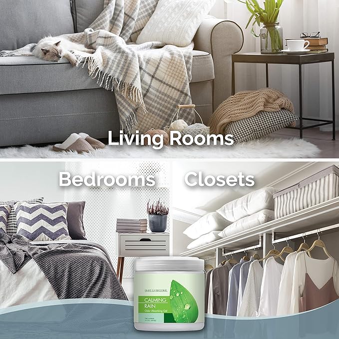 SMELLS BEGONE 15oz Gel Odor Eliminator - Absorb & Remove Tough Odors in Pet Areas, Bathrooms, Basements, Garage, Cars, RVs & Boats - Eliminate Odors Quickly (2-Pack, Calming Rain)