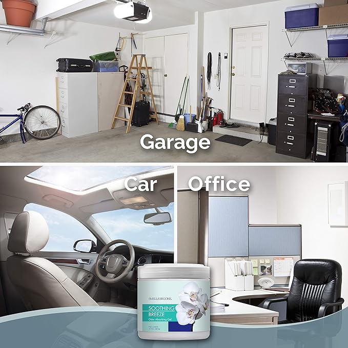 SMELLS BEGONE 15oz Gel Odor Eliminator - Absorb & Remove Tough Odors in Pet Areas, Bathrooms, Basements, Garage, Cars, RVs & Boats - Eliminate Odors Quickly (1-Pack, Soothing Breeze)