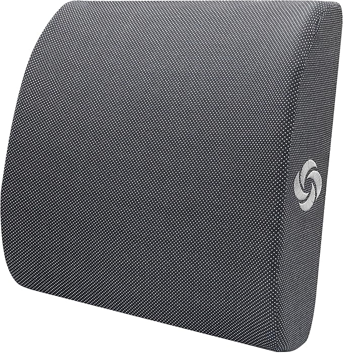 Samsonite Ergonomic Lumbar Pillow for Office Chair and Car Seat - Memory Foam Back Support Lumbar Pillow, Premium Cushion Chair Support for Lower Back Pain Relief and Versatile Use (Dark Grey)